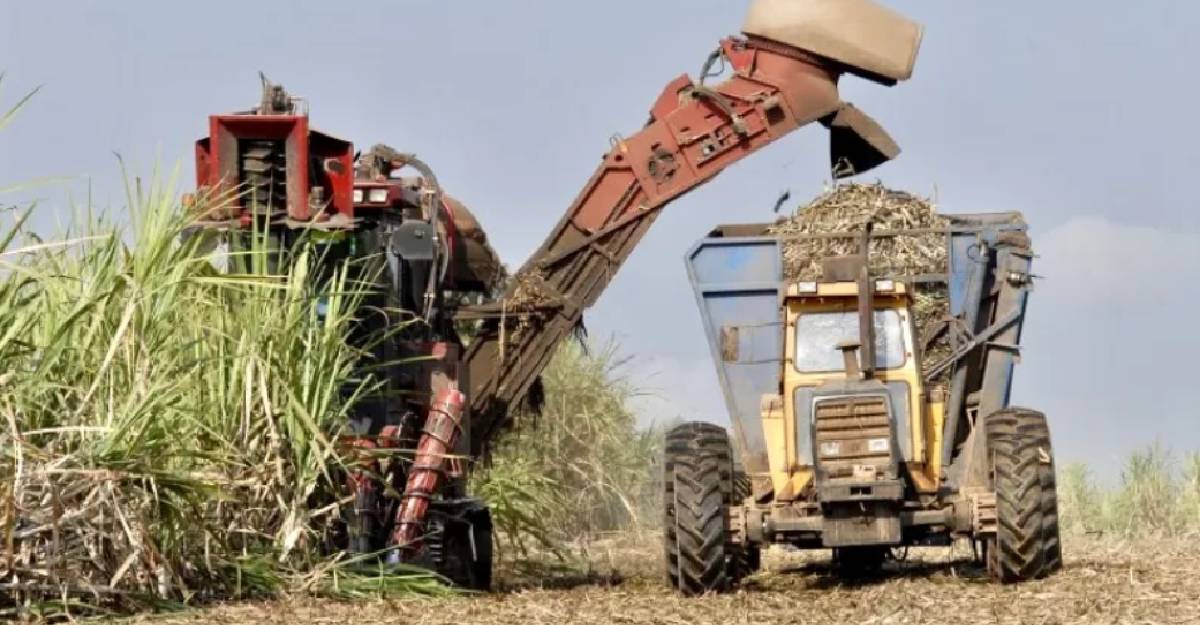 México evalúa usar etanol en gasolinas para ahorrar hasta 30,000 mdp