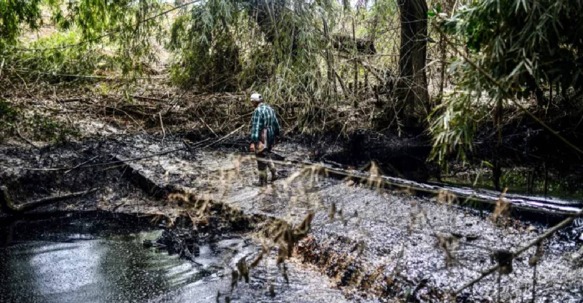 Pescadores afectados por derrame de Pemex presentan amparo para obtener indemnizaciones