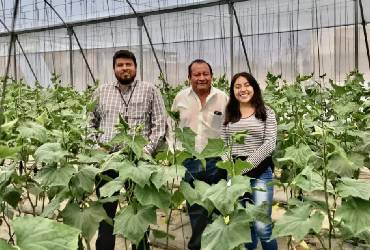 Earth-IoT: La startup mexicana que quiere convertirse en el Uber del campo
